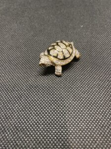 スワロフスキー カメ オブジェ